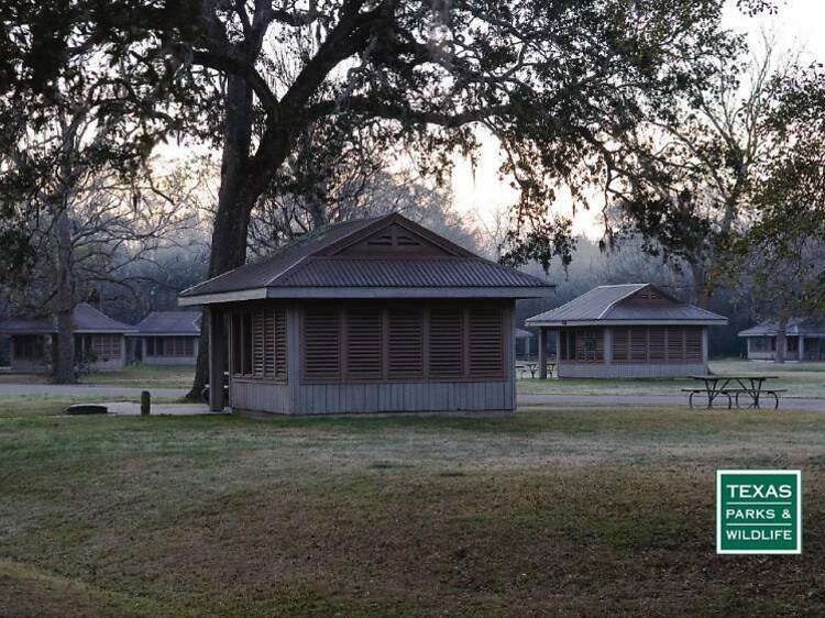 Brazos Bend State Park, Texas