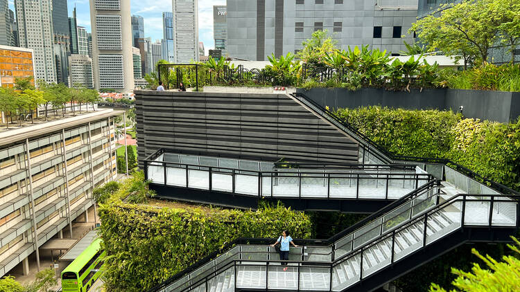 Urban Farm