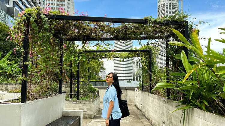 Level 7 Urban Farm