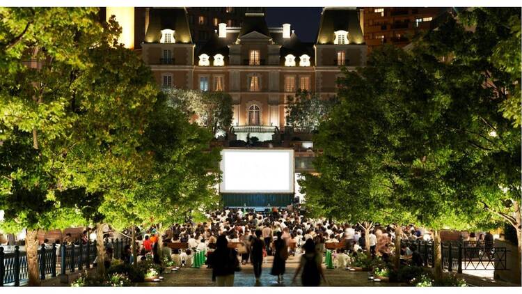 PICNIC CINEMA