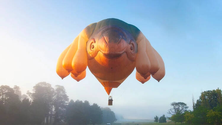 Skywhale hot air balloon