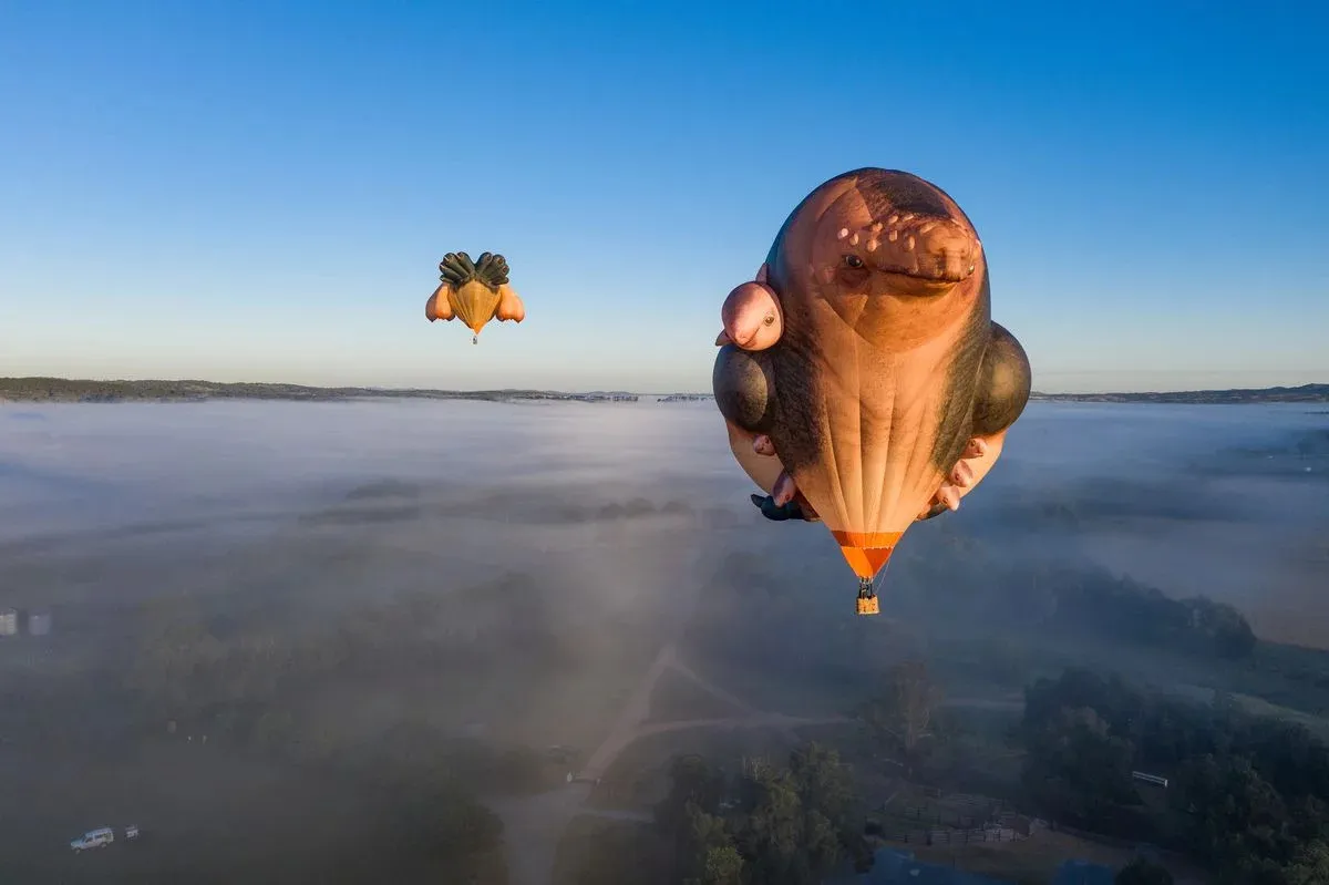 Skywhale hot air balloon