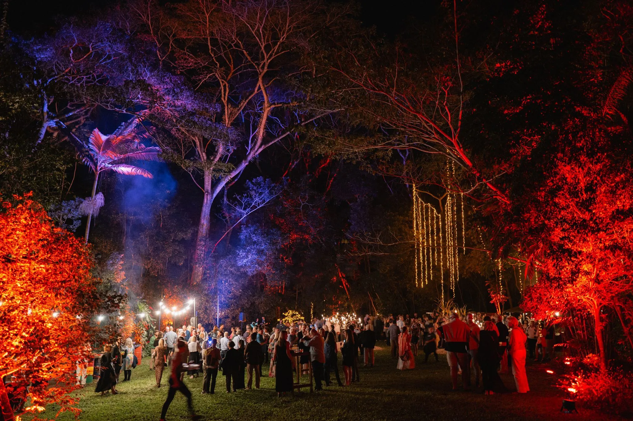 Cocktail party under fairy lights in forest at night