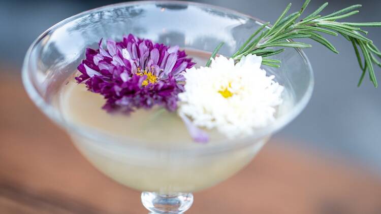 Garden Party at the Culver Hotel