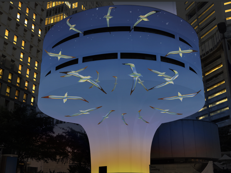25 Martin Place After Dark