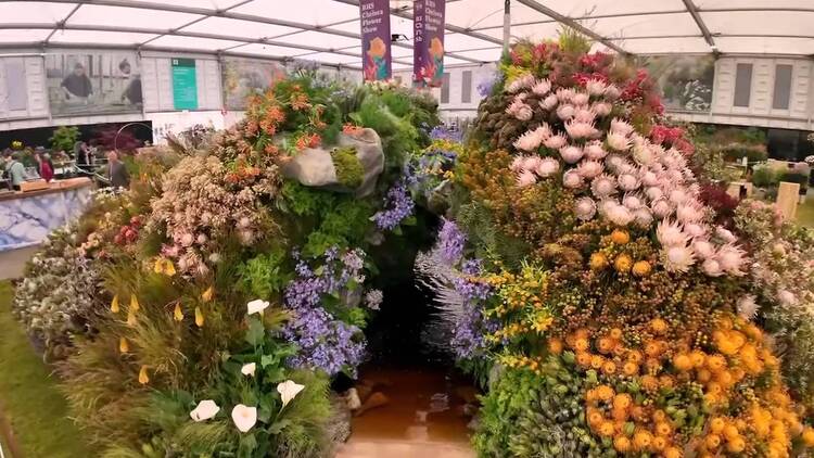 South African Award-winning display at the Chelsea Flower Show.