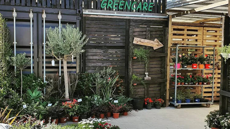 Viveiro de Plantas Greencare