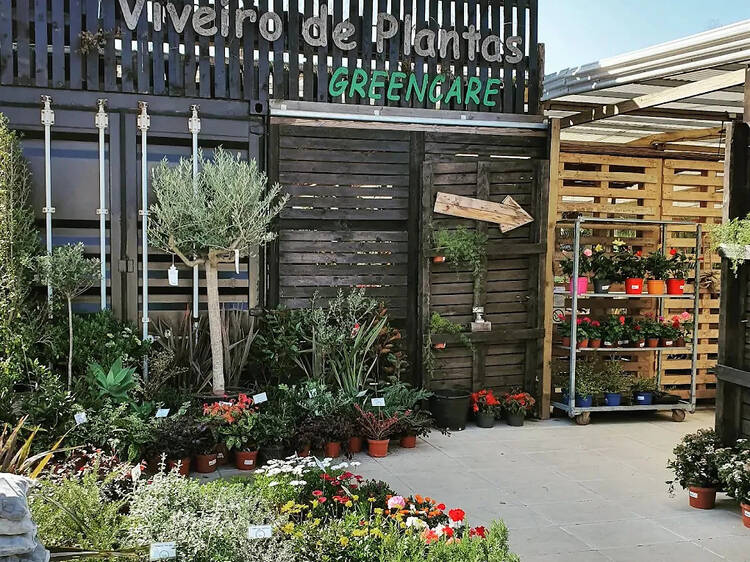 Viveiro de Plantas Greencare