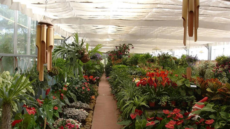 Hortijardim