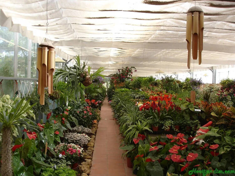 Hortijardim