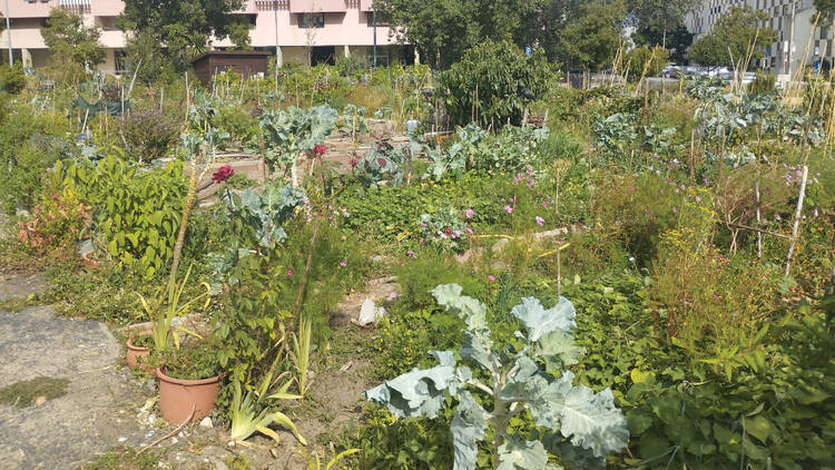 Parque Hortícula de Telheiras