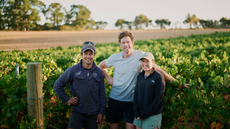 Three wine makers standing in front of vineyard