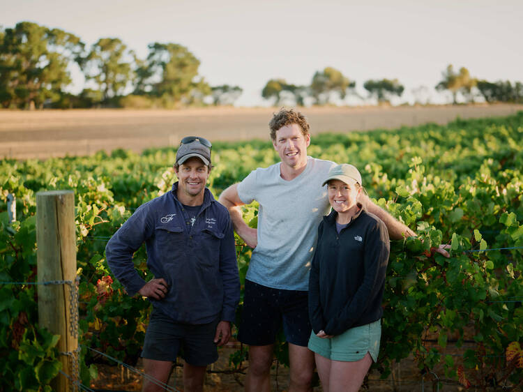 These are Australia’s best wineries in 2025, according to our nation’s leading wine critics