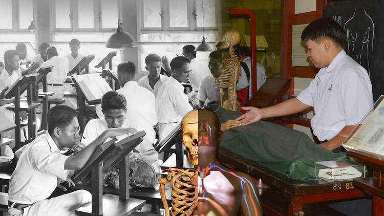 Siriraj Museum