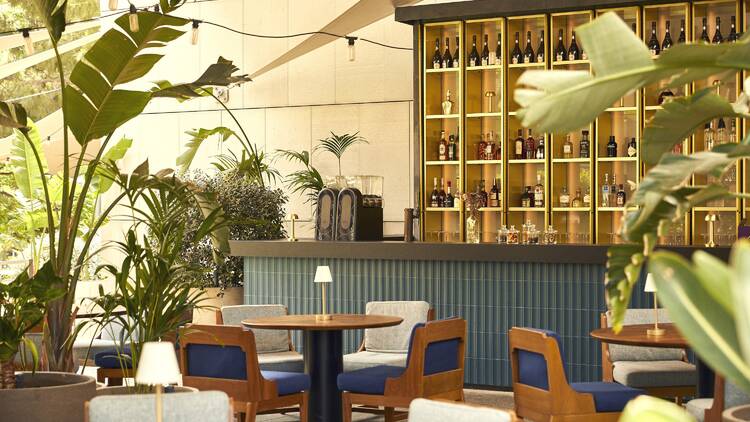 Sofia Bar & Tapas: un jardí frondós en tapes i còctels