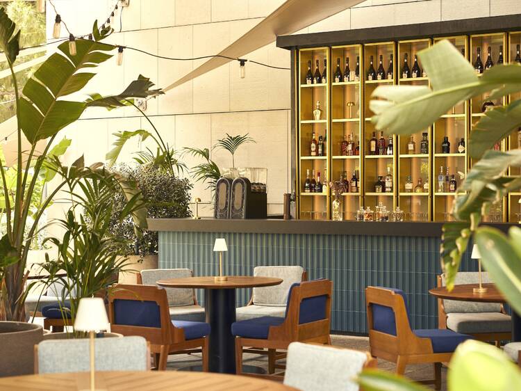 Sofia Bar & Tapas: un jardí frondós en tapes i còctels