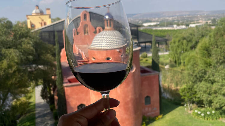 Realiza una cata de vino en Viñedo San José La Vista