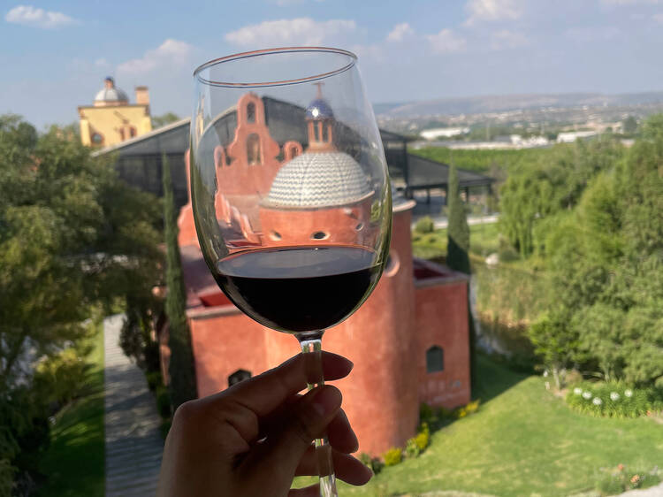 Realiza una cata de vino en Viñedo San José La Vista