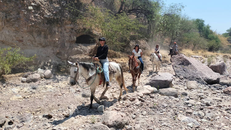 Toma un paseo en cabalgata