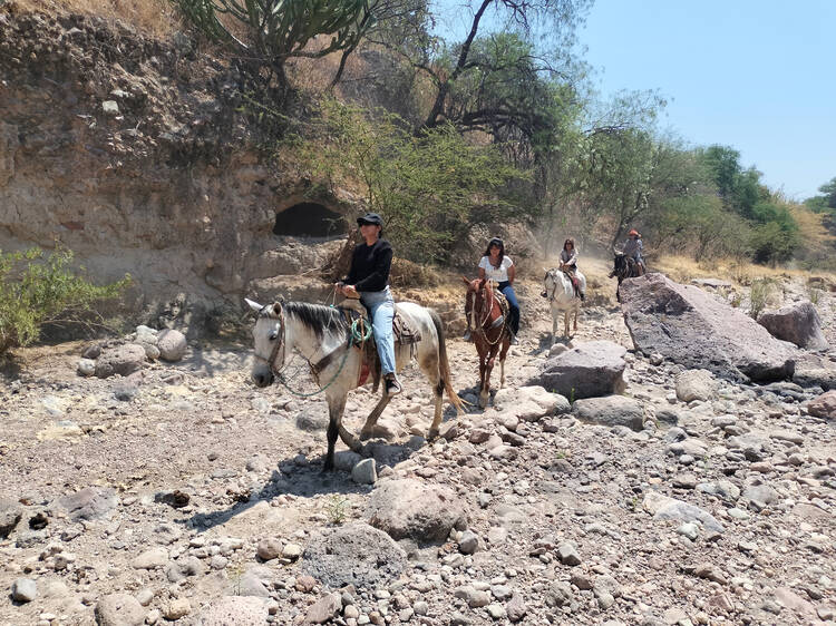 Toma un paseo en cabalgata