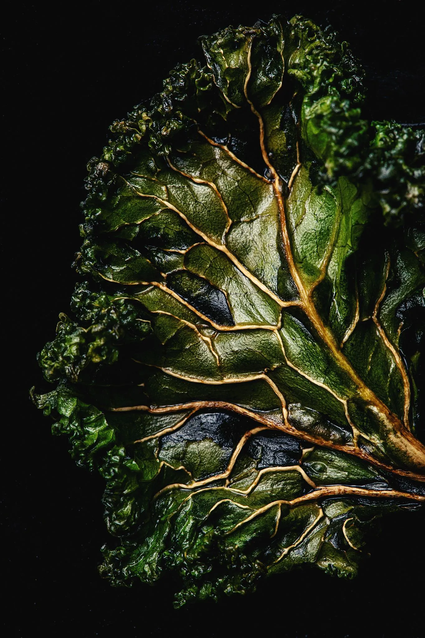 World Food Photography Awards sponsored by Tenderstem® Bimi® Broccolini