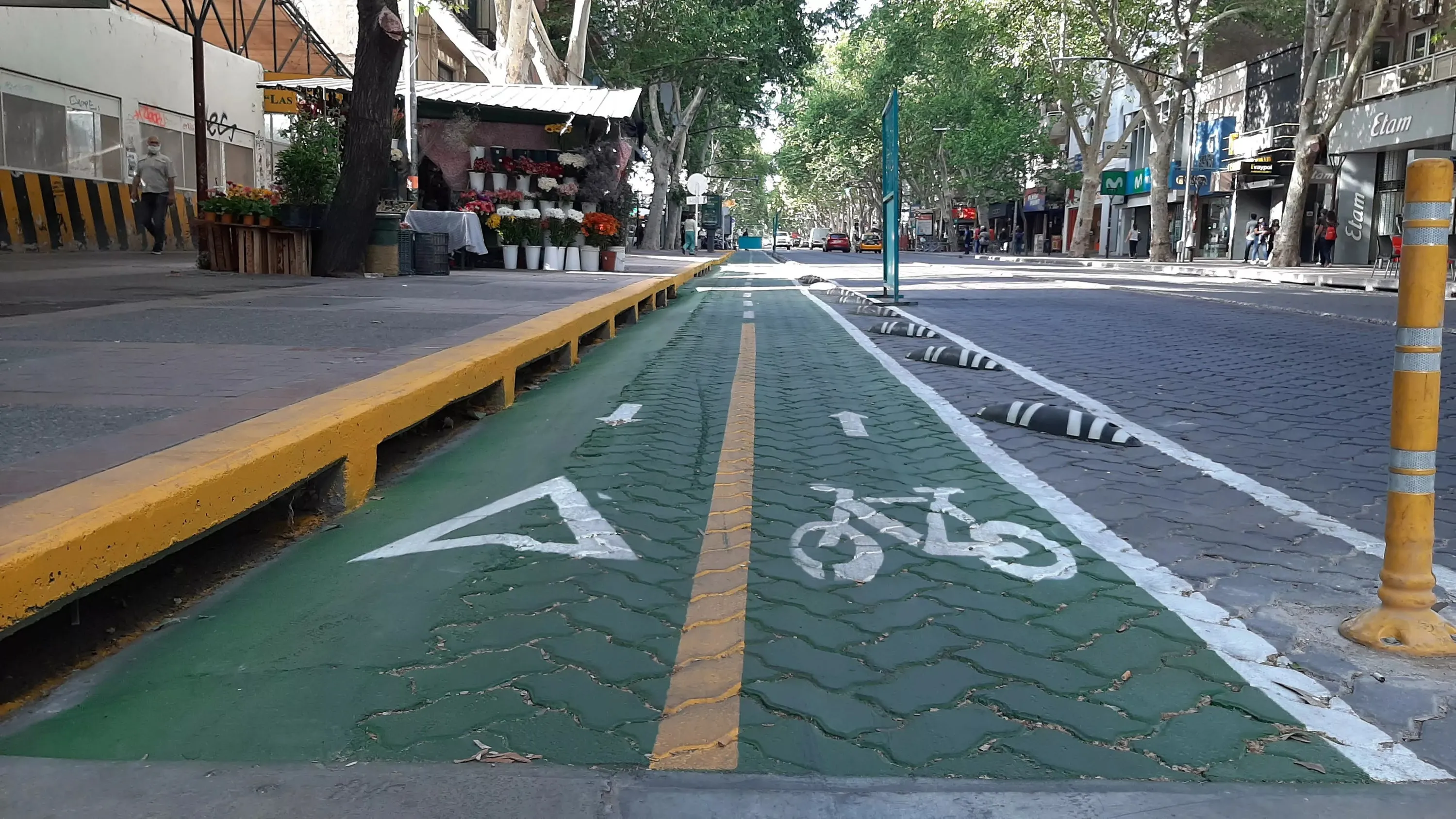 ciclovías-mendoza