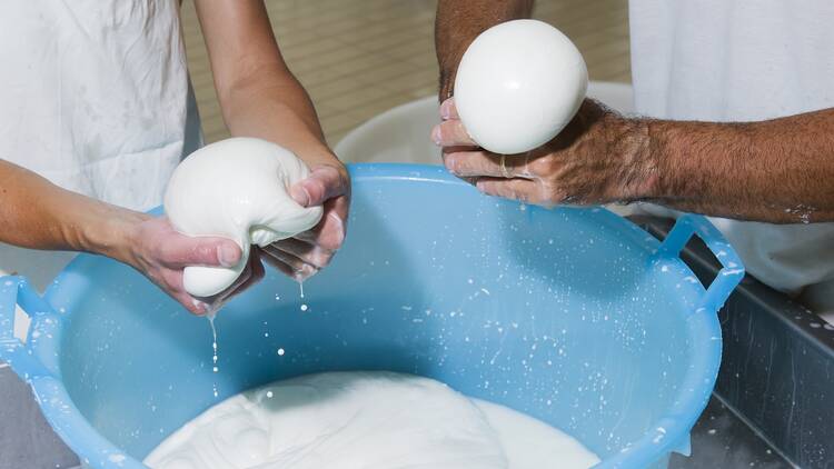 Making mozzarella