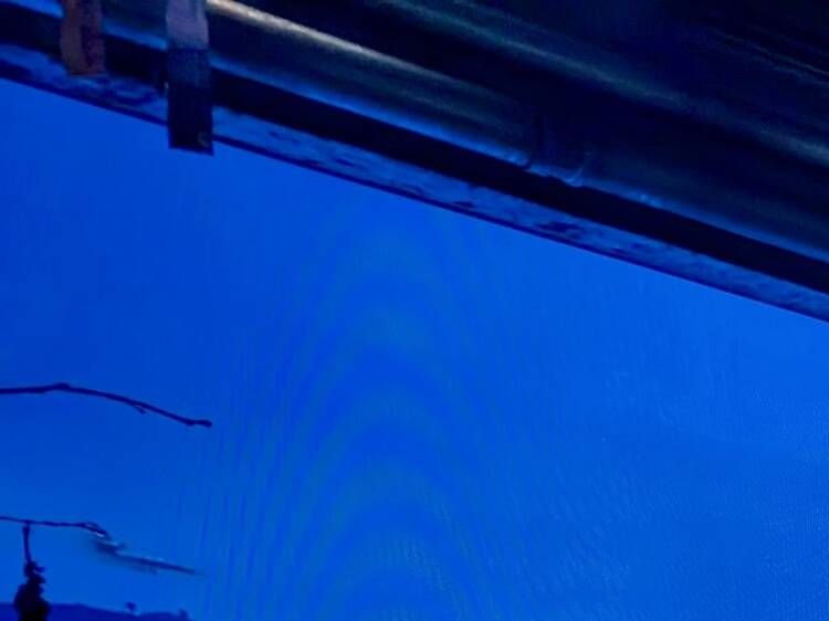 「城寨光影天台」投影 「城寨光影天台」投影