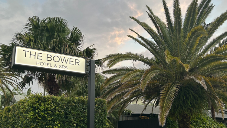 The Bower sign next to a palm tree.