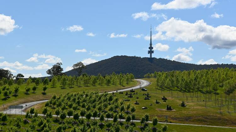 The Telstra Tower from the National Arboretum Visitor Centre.