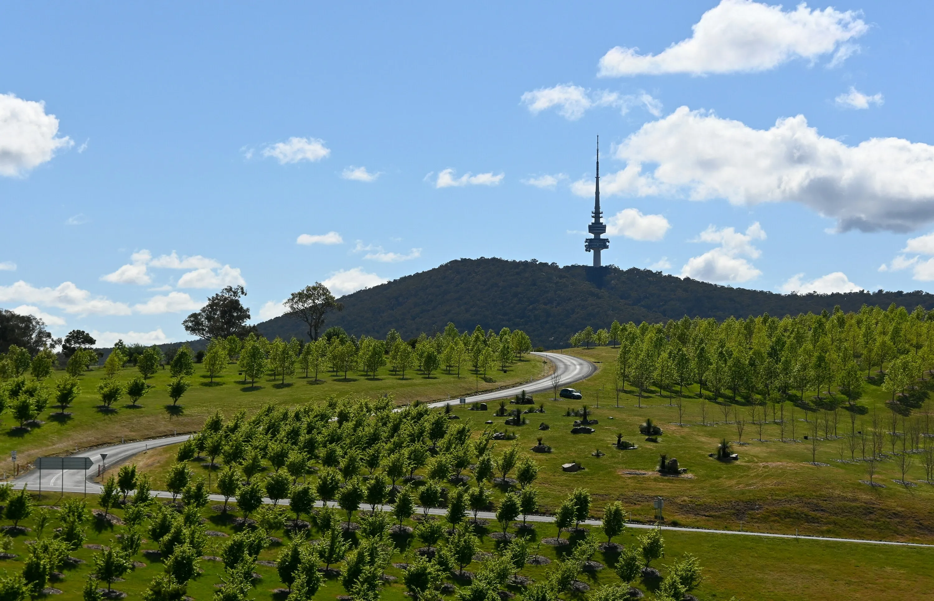 The Telstra Tower from the National Arboretum Visitor Centre.