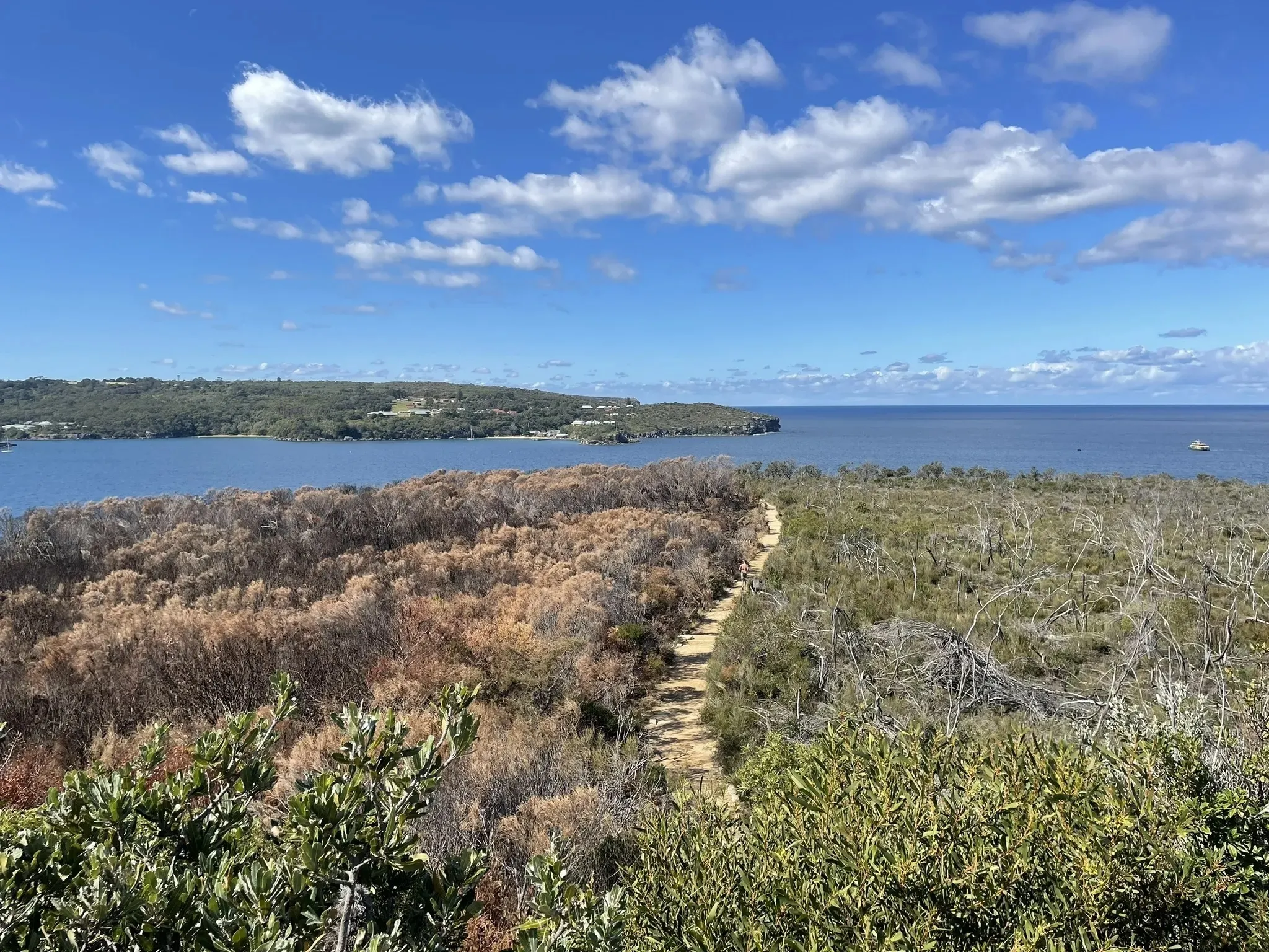 Spit to Manly walk