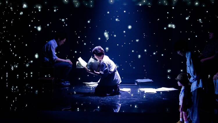 Our Cosmic Dust, 2025