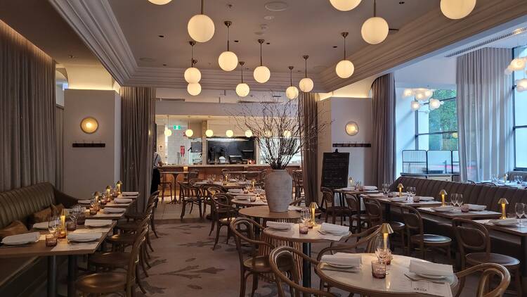 A chic dining room with lots of round ceiling lights