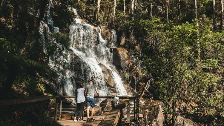Toorongo Falls