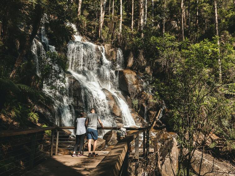 Toorongo Falls