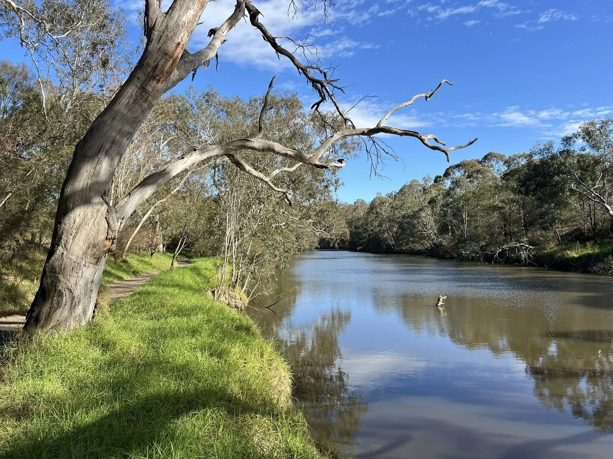 River with path next to it