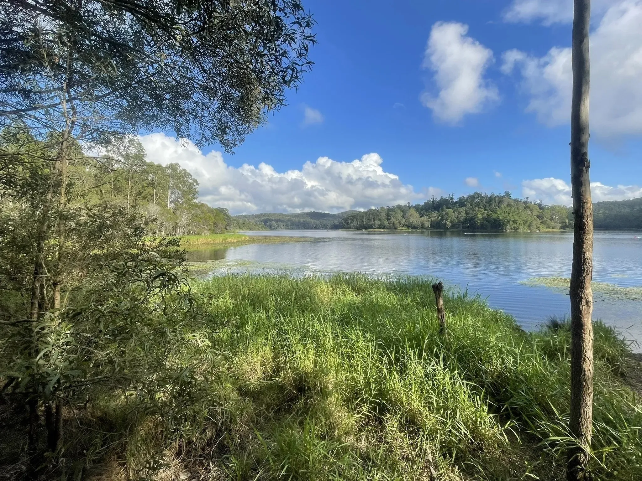 Lake near bushland