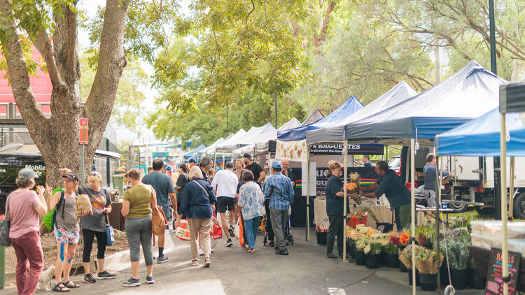 Growers Market