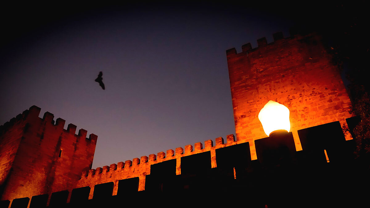 Morcegos no Castelo? Biólogos e ultrassons guiam passeio nocturno entre muralhas