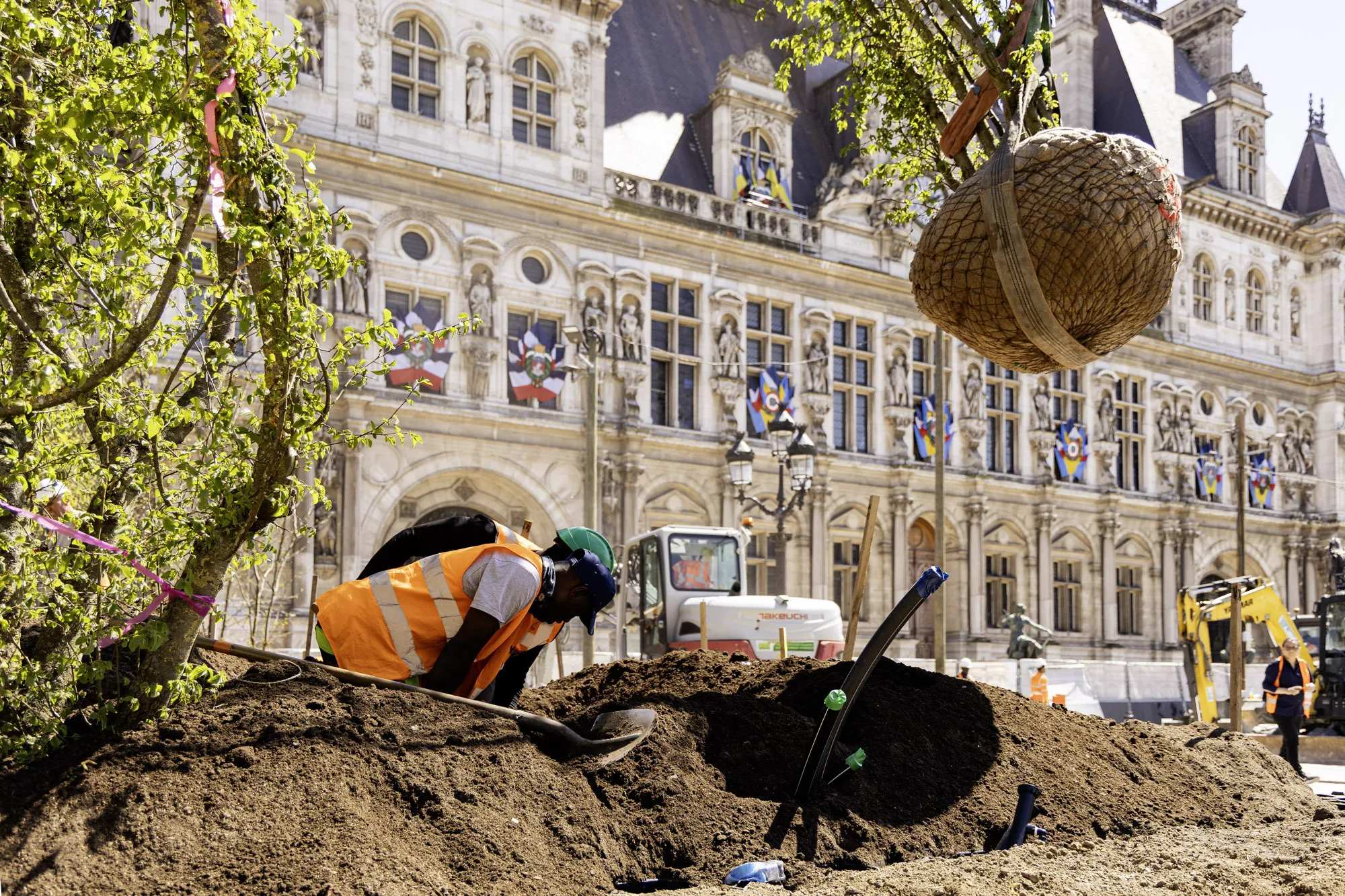 Forêt urbaine Hôtel de Ville