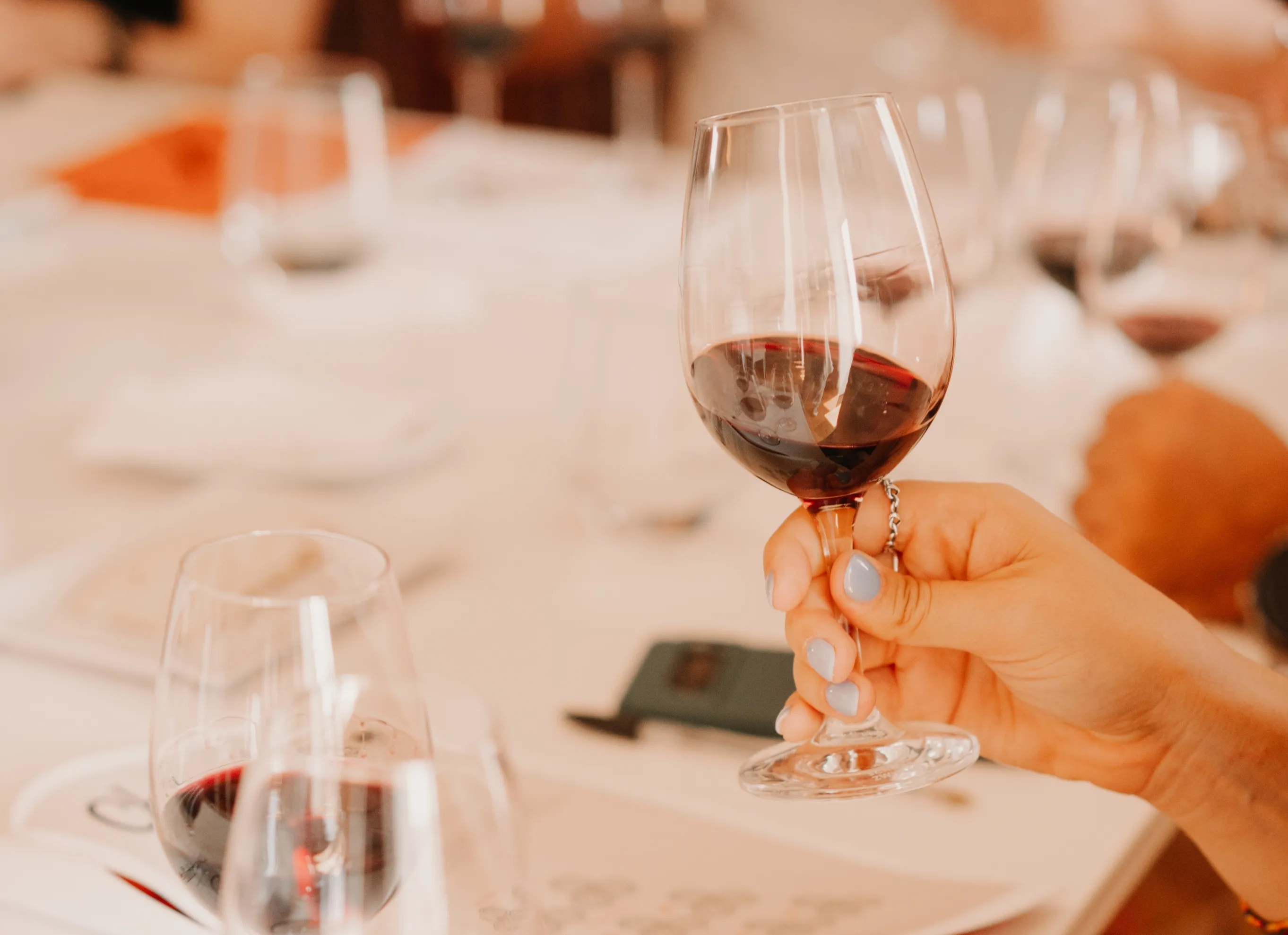 Ao longo de toda a experiência são feitas algumas provas de vinhos