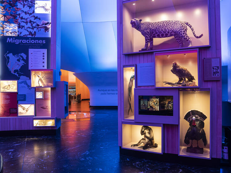 Actividades para niños y adolescentes en la Noche de Museos Actividades para niños y adolescentes en la Noche de Museos