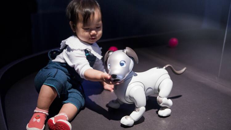 AI: More than Human at Frost Science