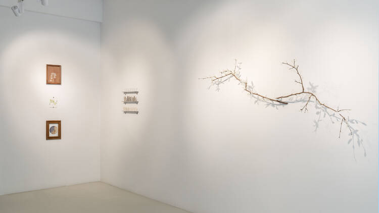 Simbart Projects
