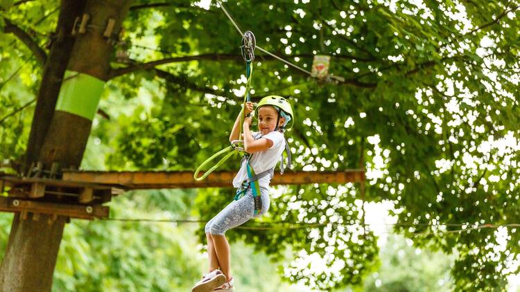 Sentir a adrenalina no Zoo Santo Inácio