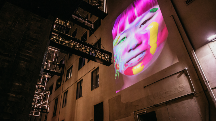 Hollywood Quarter vivid 2025