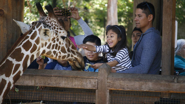 Dallas Zoo