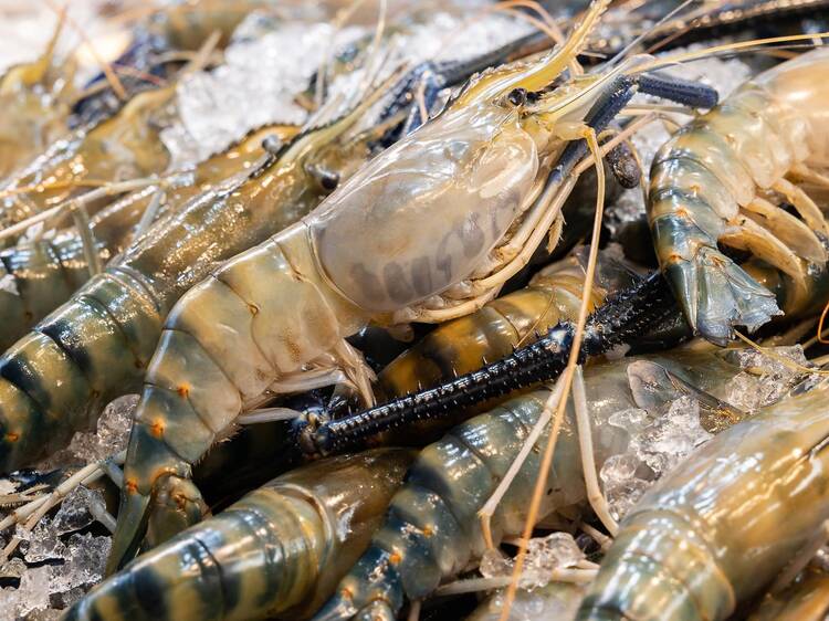 Sea CNX seafood festival