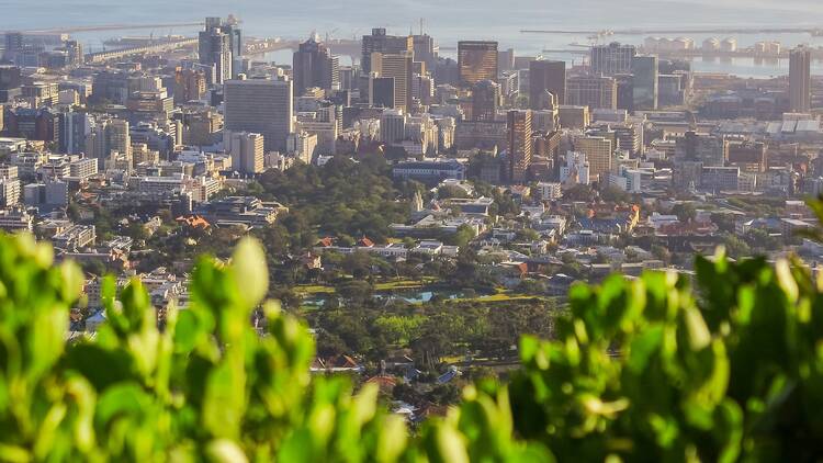 Cape Town park mountain